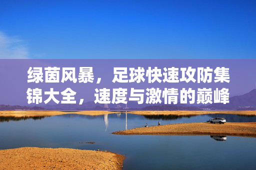 绿茵风暴，足球快速攻防集锦大全，速度与激情的巅峰碰撞，绿茵风暴，足球快速攻防的巅峰激情集锦