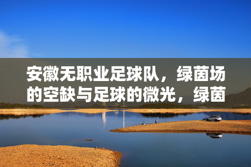 安徽无职业足球队，绿茵场的空缺与足球的微光，绿茵空缺处，安徽足球有微光