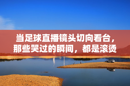 当足球直播镜头切向看台,那些哭过的瞬间,都是滚烫的热爱,镜头切向看台,泪光里的滚烫热爱