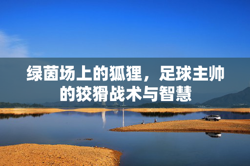 绿茵场上的狐狸,足球主帅的狡猾战术与智慧