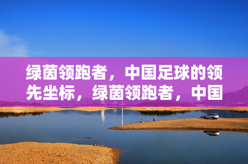 绿茵领跑者，中国足球的领先坐标，绿茵领跑者，中国足球的领先坐标
