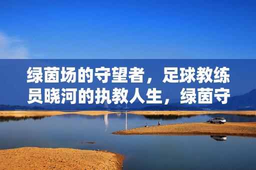 绿茵场的守望者，足球教练员晓河的执教人生，绿茵守望者，晓河的执教人生