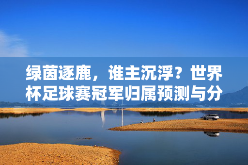 绿茵逐鹿，谁主沉浮？世界杯足球赛冠军归属预测与分析，绿茵逐鹿，世界杯冠军归属预测与分析