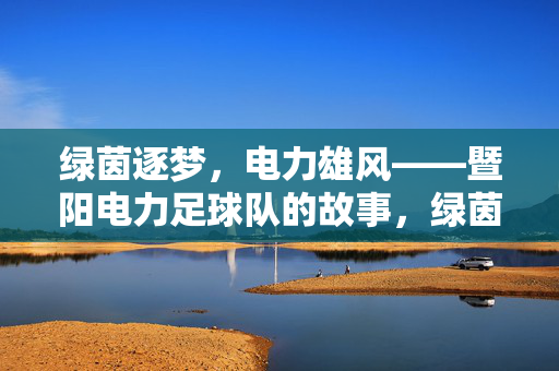 绿茵逐梦，电力雄风——暨阳电力足球队的故事，绿茵逐梦电力雄风——暨阳电力足球队