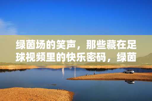绿茵场的笑声，那些藏在足球视频里的快乐密码，绿茵场笑声，藏在足球视频里的快乐密码