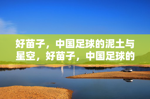 好苗子,中国足球的泥土与星空,好苗子,中国足球的泥土与星空