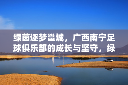 绿茵逐梦邕城，广西南宁足球俱乐部的成长与坚守，绿茵逐梦邕城，南宁足球的成长与坚守