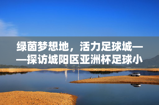 绿茵梦想地,活力足球城——探访城阳区亚洲杯足球小镇,活力足球城,绿茵梦想地——城阳区亚洲杯足球小镇
