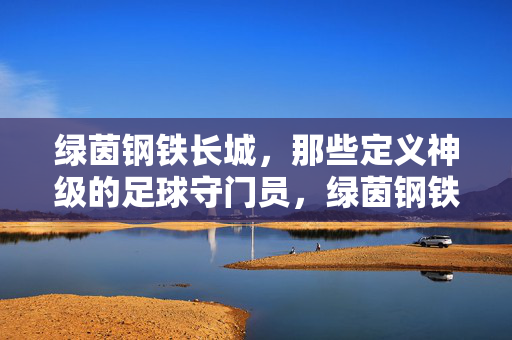 绿茵钢铁长城,那些定义神级的足球守门员,绿茵钢铁长城,定义神级的足球守门员
