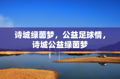 诗城绿茵梦,公益足球情,诗城公益绿茵梦