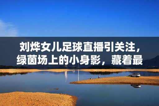 刘烨女儿足球直播引关注,绿茵场上的小身影,藏着最纯粹的热爱,刘烨女儿足球直播引关注,绿茵小身影藏着纯粹热爱