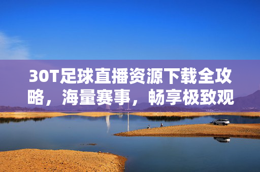 30T足球直播资源下载全攻略，海量赛事，畅享极致观赛体验
