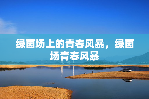 绿茵场上的青春风暴，绿茵场青春风暴