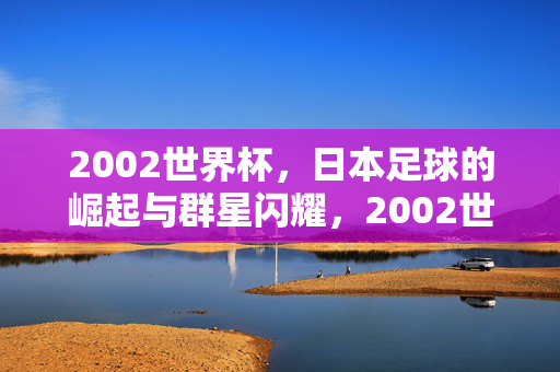 2002世界杯，日本足球的崛起与群星闪耀，2002世界杯日本足球崛起与群星闪耀