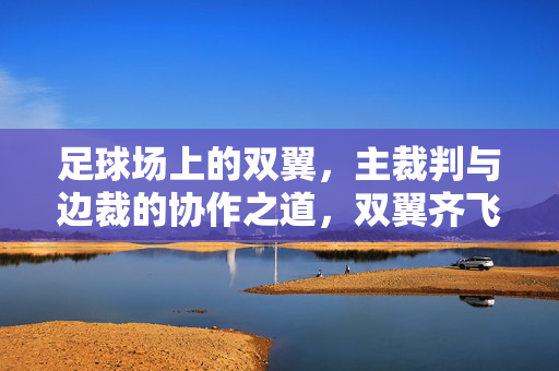 足球场上的双翼，主裁判与边裁的协作之道，双翼齐飞，主裁与边裁的足球协作之道