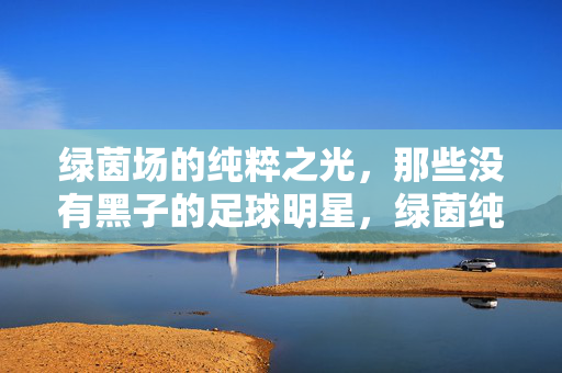 绿茵场的纯粹之光,那些没有黑子的足球明星,绿茵纯粹之光,无瑕的足球明星
