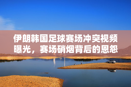 伊朗韩国足球赛场冲突视频曝光，赛场硝烟背后的恩怨与反思，伊朗韩国足球赛场冲突视频曝光，恩怨与反思