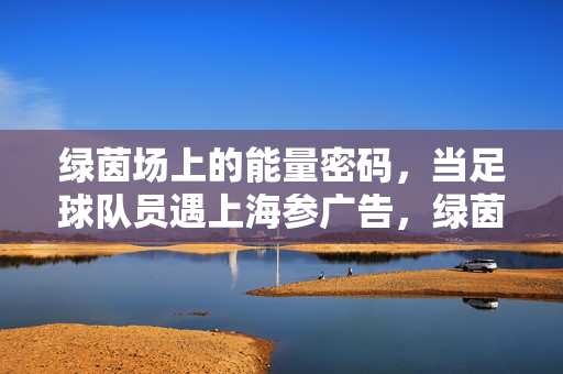 绿茵场上的能量密码，当足球队员遇上海参广告，绿茵能量密码，足球队员遇上海参广告