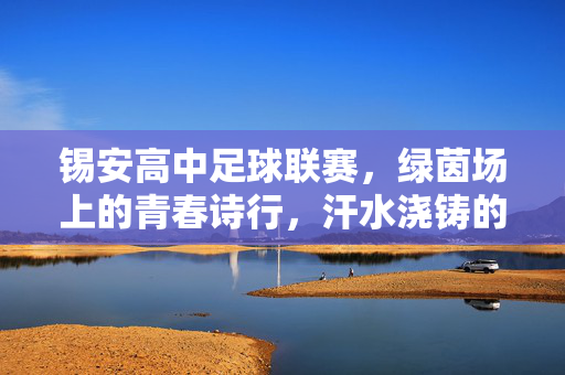 锡安高中足球联赛，绿茵场上的青春诗行，汗水浇铸的成长勋章，绿茵青春诗行，锡安高中足球联赛的成长勋章