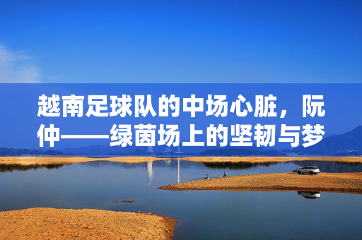 越南足球队的中场心脏,阮仲——绿茵场上的坚韧与梦想,阮仲,越南中场的心脏,绿茵场的坚韧追梦者