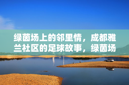 绿茵场上的邻里情,成都雅兰社区的足球故事,绿茵场上的邻里情,成都雅兰社区足球故事