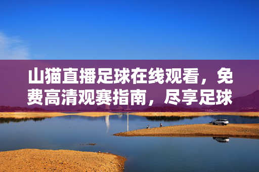 山猫直播足球在线观看，免费高清观赛指南，尽享足球盛宴
