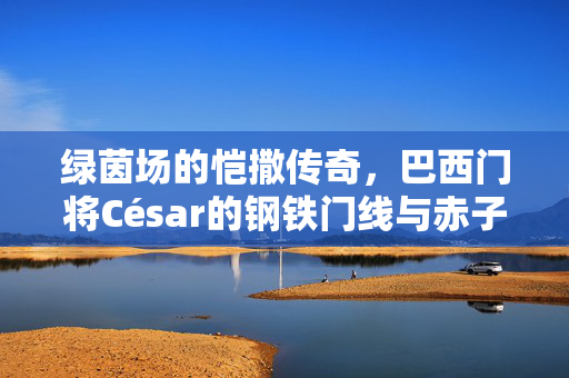 绿茵场的恺撒传奇，巴西门将César的钢铁门线与赤子之心，绿茵场恺撒César，钢铁门线与赤子之心