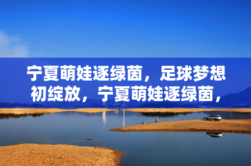 宁夏萌娃逐绿茵,足球梦想初绽放,宁夏萌娃逐绿茵,足球梦想初绽放