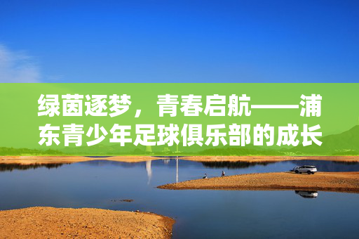 绿茵逐梦，青春启航——浦东青少年足球俱乐部的成长与希望，浦东青少年足球俱乐部，绿茵逐梦，青春成长与希望