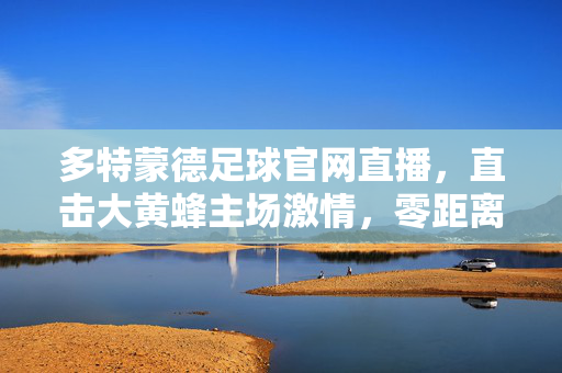 多特蒙德足球官网直播，直击大黄蜂主场激情，零距离感受德甲风暴，多特蒙德官网直播，直击主场激情，感受德甲风暴