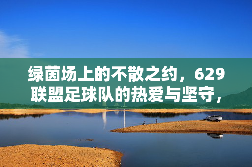 绿茵场上的不散之约,629联盟足球队的热爱与坚守,629联盟,绿茵场上的热爱坚守之约