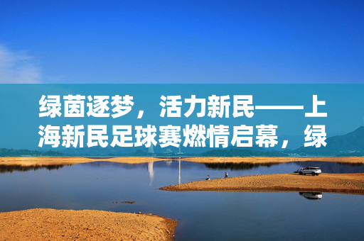 绿茵逐梦，活力新民——上海新民足球赛燃情启幕，绿茵逐梦，新民足球赛燃情启幕