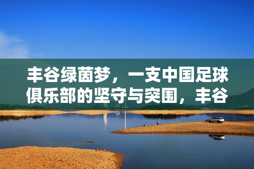 丰谷绿茵梦,一支中国足球俱乐部的坚守与突围,丰谷绿茵梦,中国足球俱乐部的坚守与突围