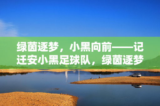绿茵逐梦，小黑向前——记迁安小黑足球队，绿茵逐梦，小黑向前——迁安小黑足球队