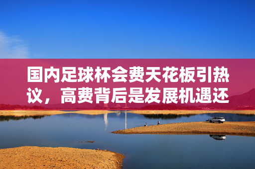 国内足球杯会费天花板引热议,高费背后是发展机遇还是沉重负担?国内足球杯会费天花板,机遇与负担的博弈