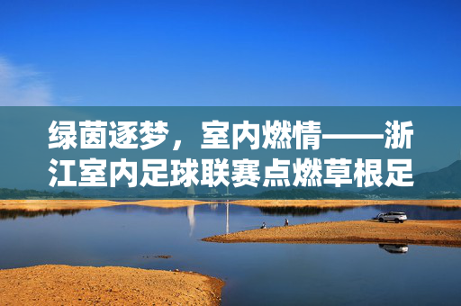 绿茵逐梦，室内燃情——浙江室内足球联赛点燃草根足球激情，浙江室内足球联赛，燃情草根，逐梦绿茵