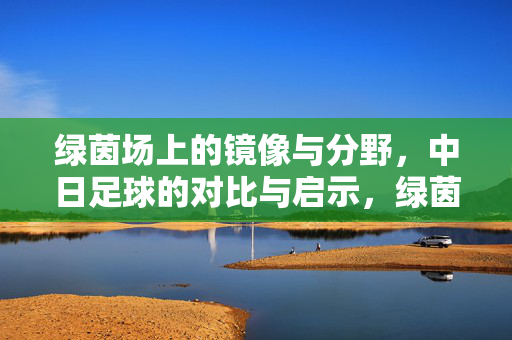 绿茵场上的镜像与分野，中日足球的对比与启示，绿茵镜鉴，中日足球的对比与启示