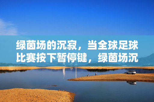 绿茵场的沉寂，当全球足球比赛按下暂停键，绿茵场沉寂，全球足球按下暂停键