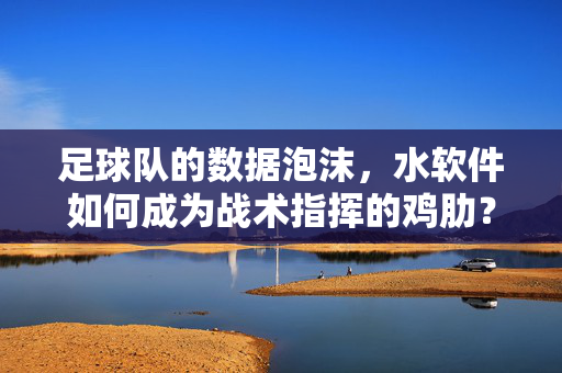 足球队的数据泡沫，水软件如何成为战术指挥的鸡肋？足球队水软件，数据泡沫中的战术鸡肋