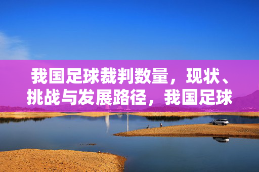 我国足球裁判数量，现状、挑战与发展路径，我国足球裁判数量现状、挑战与发展路径