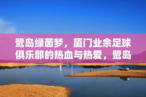 鹭岛绿茵梦，厦门业余足球俱乐部的热血与热爱，鹭岛绿茵梦，厦门业余足球的热血与热爱