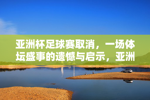 亚洲杯足球赛取消，一场体坛盛事的遗憾与启示，亚洲杯取消，体坛盛事的遗憾与启示