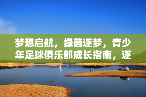 梦想启航，绿茵逐梦，青少年足球俱乐部成长指南，逐梦绿茵，青少年足球俱乐部成长指南