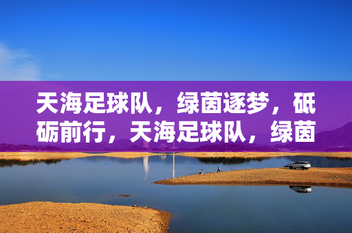 天海足球队，绿茵逐梦，砥砺前行，天海足球队，绿茵逐梦砥砺前行
