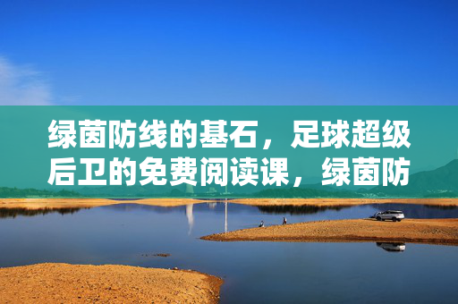 绿茵防线的基石，足球超级后卫的免费阅读课，绿茵防线基石，足球超级后卫免费阅读课