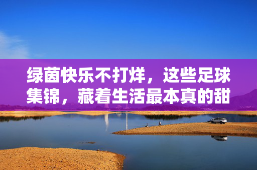 绿茵快乐不打烊,这些足球集锦,藏着生活最本真的甜,绿茵快乐不打烊,足球集锦藏生活本真甜
