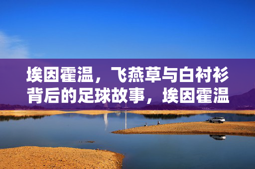 埃因霍温，飞燕草与白衬衫背后的足球故事，埃因霍温，飞燕草与白衬衫的足球故事