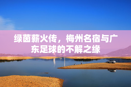 绿茵薪火传,梅州名宿与广东足球的不解之缘