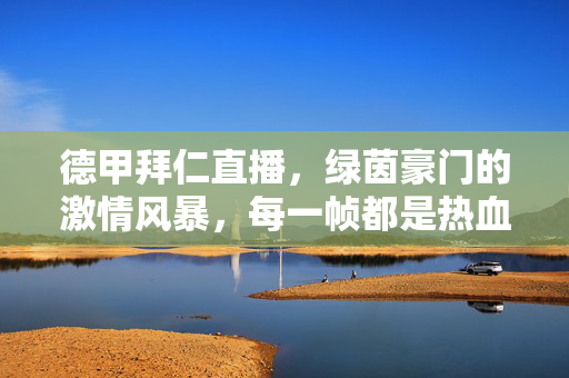 德甲拜仁直播,绿茵豪门的激情风暴,每一帧都是热血沸腾!德甲拜仁直播,绿茵豪门的激情风暴,热血沸腾!