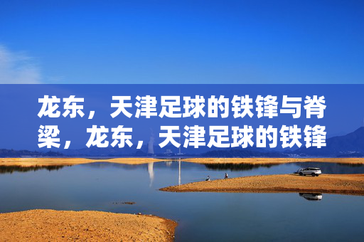 龙东,天津足球的铁锋与脊梁,龙东,天津足球的铁锋与脊梁